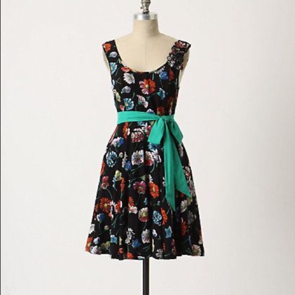 Anthro Asters Everywhere Dress